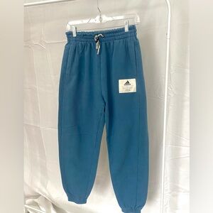 Adidas Teal Sweatpants
